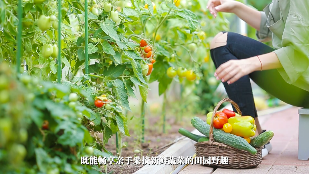 項目展示